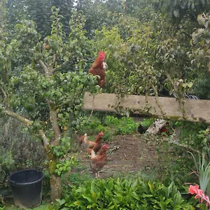 https://bienvenue-chez-joelle-et-andre-au-207.inbrittany.com